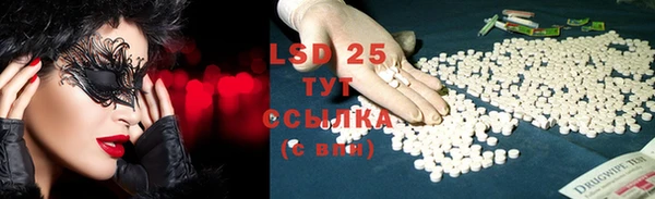ECSTASY Алзамай
