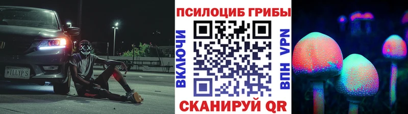 Галлюциногенные грибы Psilocybe  Брюховецкая 